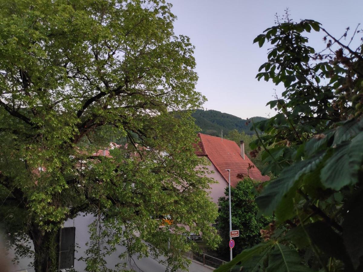 Ferienwohnungen Und Zimmer In Reutlingen-Goenningen Kültér fotó