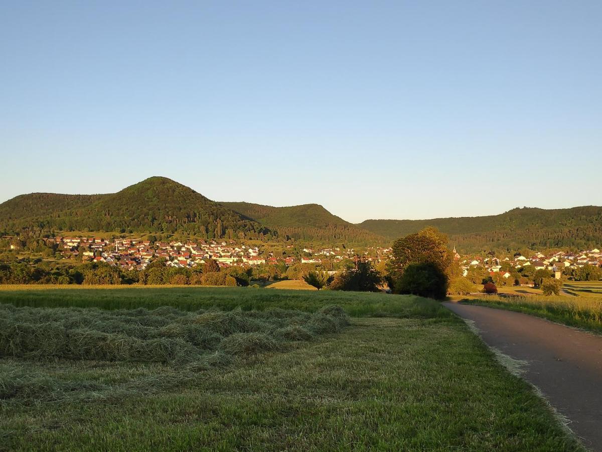 Ferienwohnungen Und Zimmer In Reutlingen-Goenningen Kültér fotó